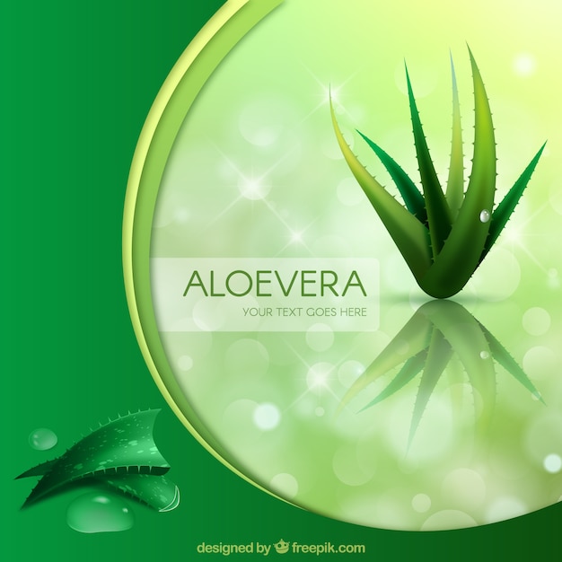 Green background with aloe vera Free Vector