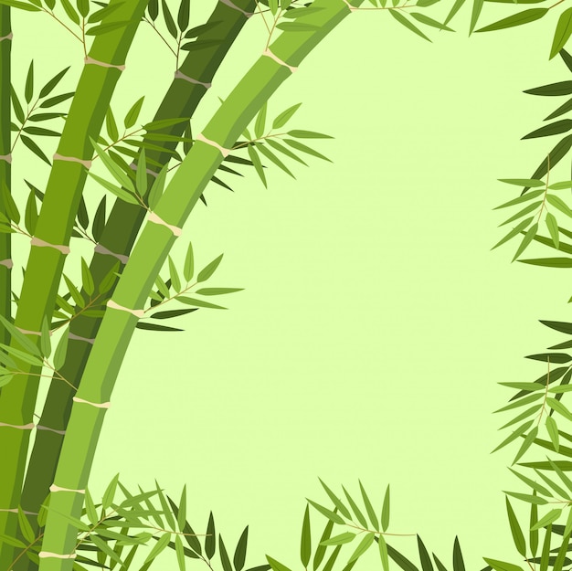 Premium Vector | A green bamboo border