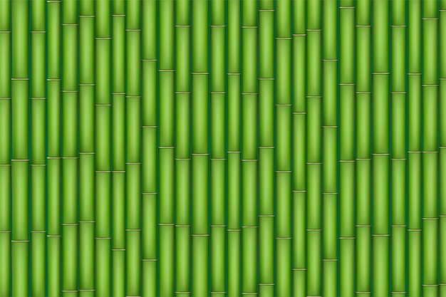 Premium Vector Green Bamboo Texture