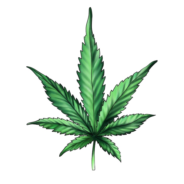 Jamaica марихуана авито tor browser попасть на гидру
