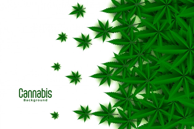 Download Free Cannabis Images Free Vectors Stock Photos Psd Use our free logo maker to create a logo and build your brand. Put your logo on business cards, promotional products, or your website for brand visibility.