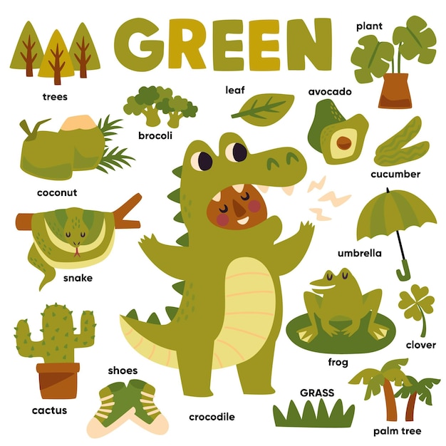 Free Vector | Green Color And Vocabulary Set In English