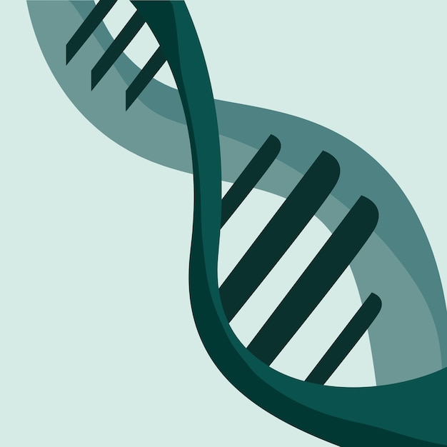 Premium Vector | Green dna molecule