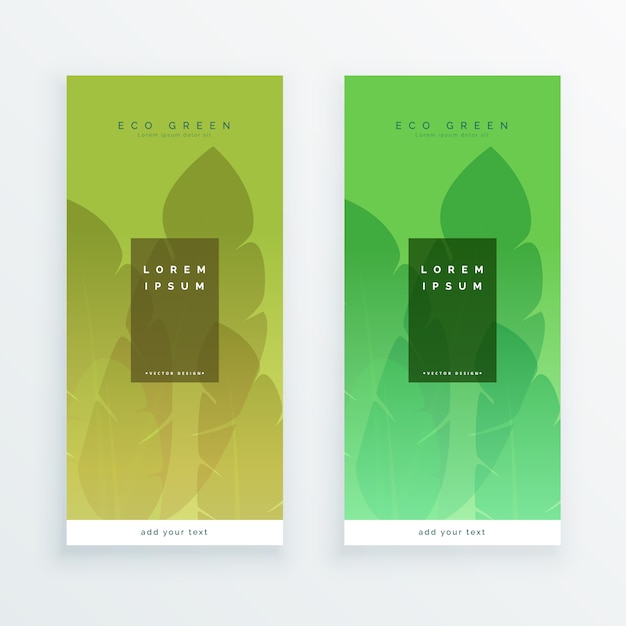 Green eco leaves banners design