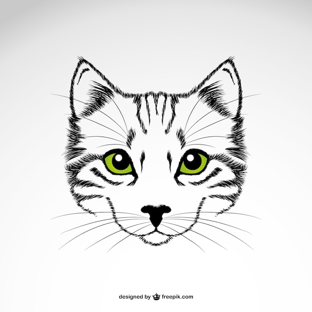 Download Cat Eye Vectors, Photos and PSD files | Free Download