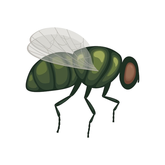 Premium Vector | A green fly in flight .a flying insect. image of a fly ...