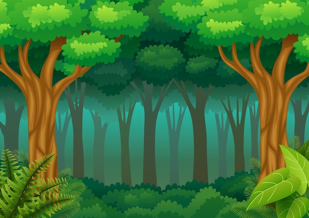 Premium Vector | Green forest background