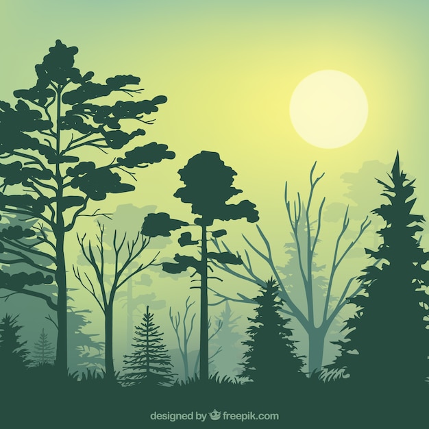 Green forest silhouettes