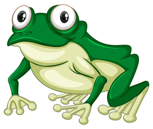 Frog Vectors, Photos and PSD files | Free Download