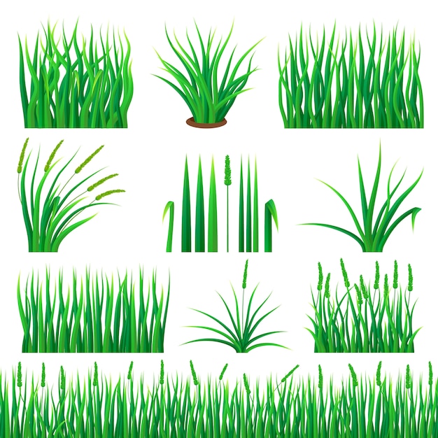 Download Green glass mockup set. realistic illustration of 10 grass ...