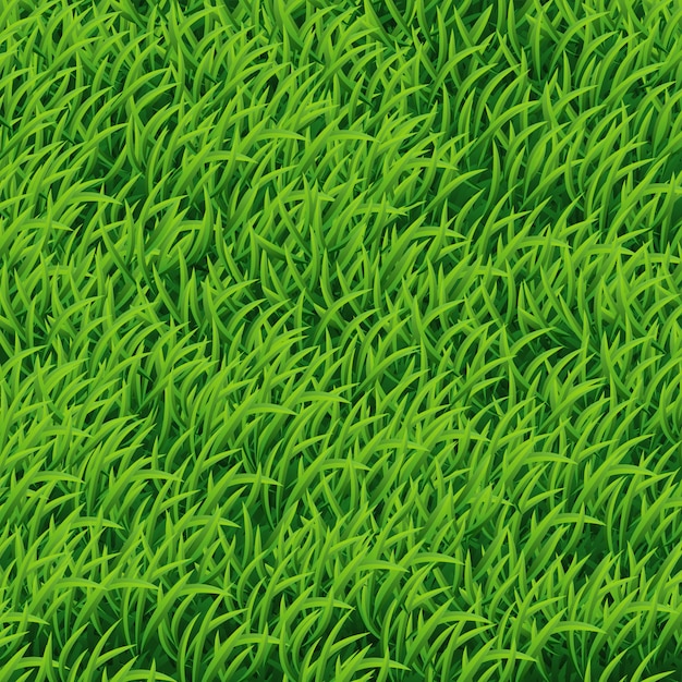 Premium Vector | Green grass background.