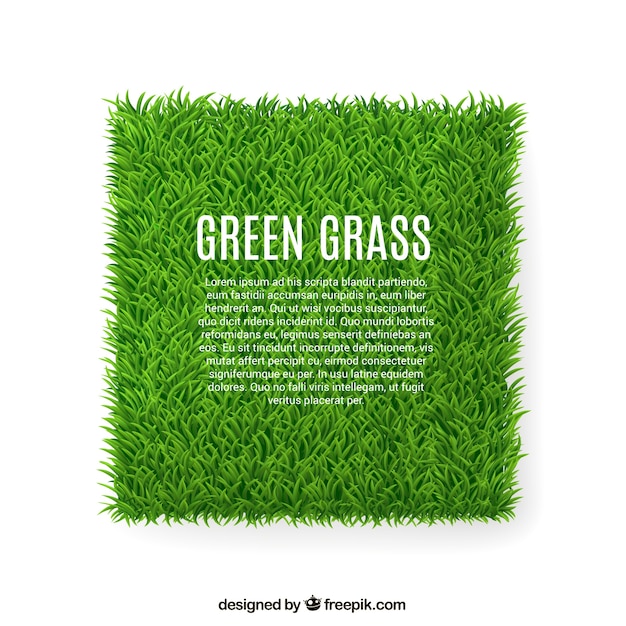 Green grass banner