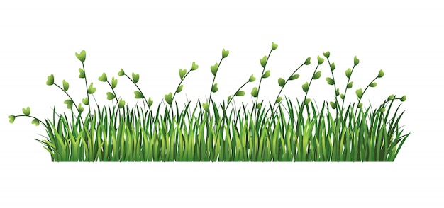 Download Green grass border. fresh green leaves and branches grass ...