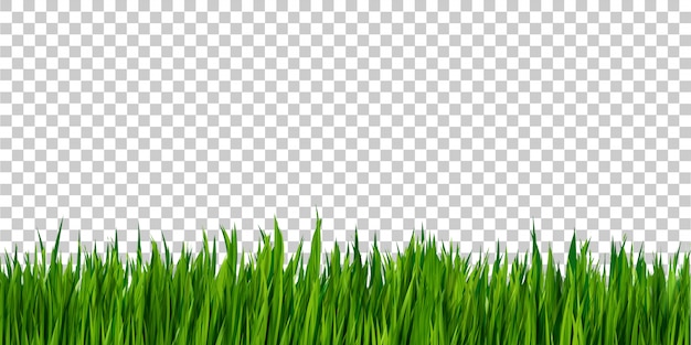 Download Green grass border isolated on transparent background ...