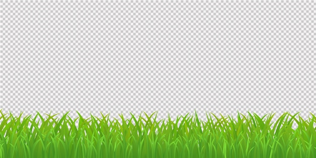 Download Premium Vector | Green grass border, isolated on ...