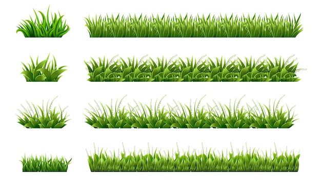 緑の草の境界線 手入れの行き届いた芝生 牧草地のクリップアート 孤立した有機芝生の形 葉 庭の要素 リアルな春夏の自然のイラスト 有機エコの葉 フィールドナチュラル プレミアムベクター