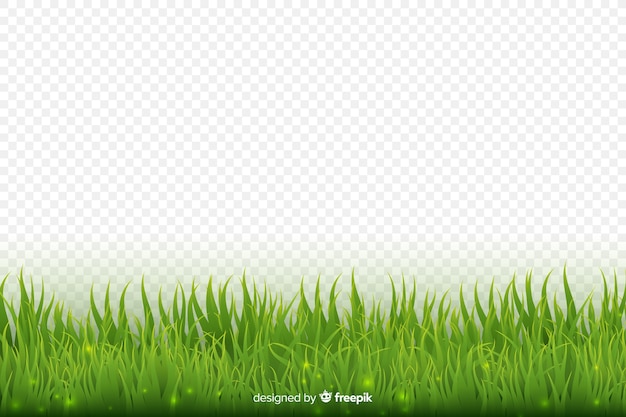 Download Green grass border realistic design Vector | Free Download