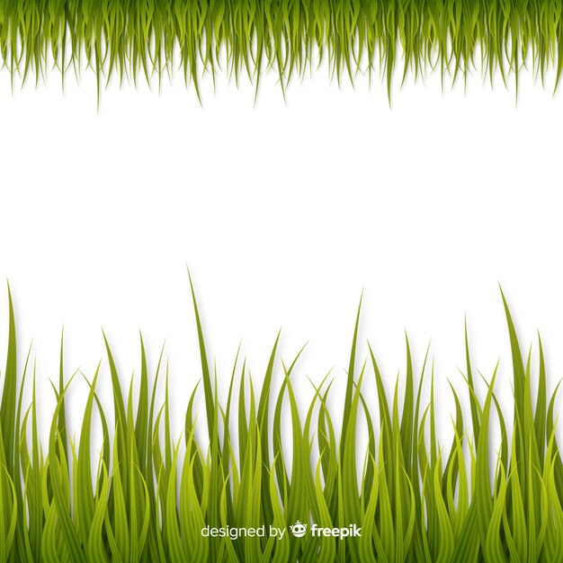 Green Grass Border Realistic Design Vector Free Download