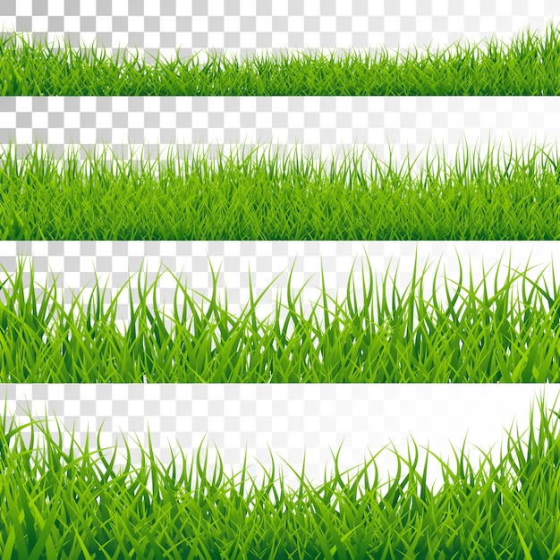 Download Green Grass Border Set on Transparent Background Vector ...