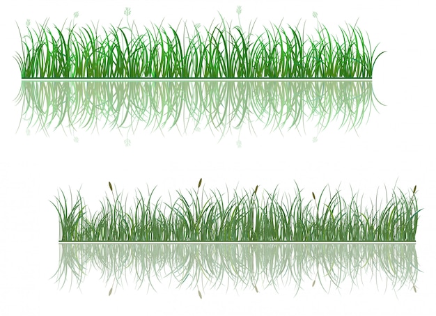 Download Premium Vector | Green grass border with reflection