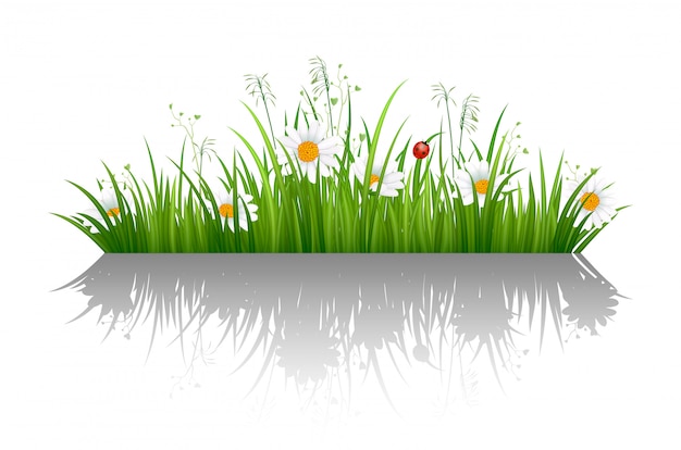 Download Green grass border with shadow | Premium Vector