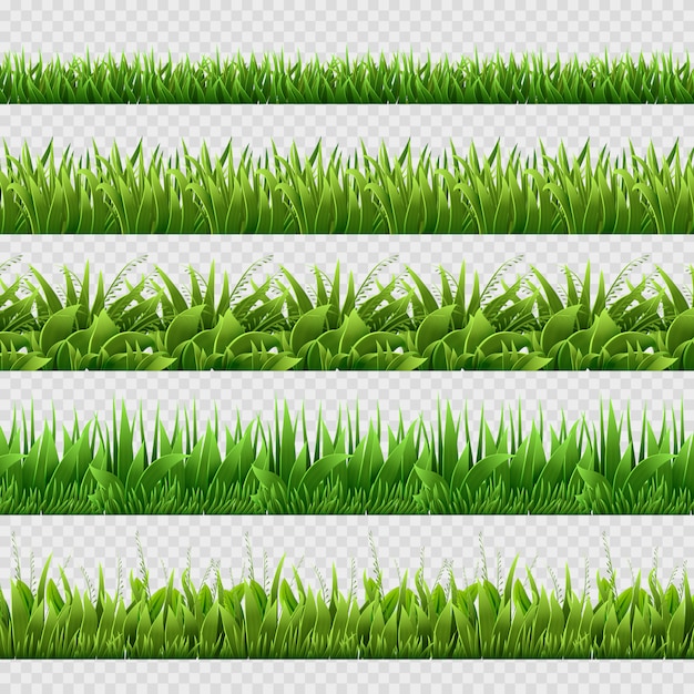 Download Premium Vector | Green grass border