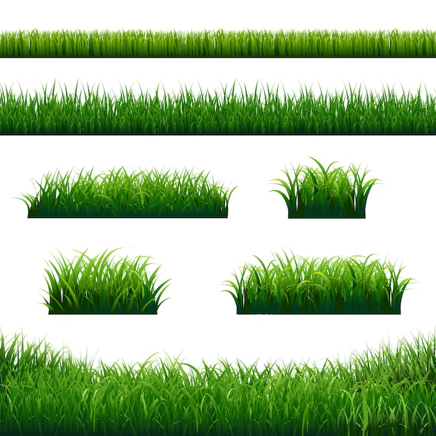 Download Green grass borders big set | Premium Vector
