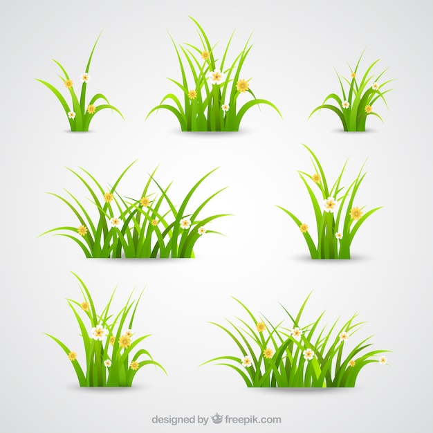 vector free download grass - photo #6