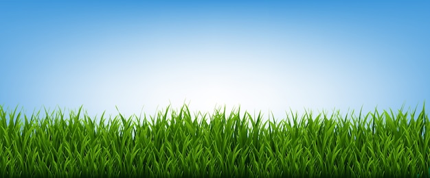 緑の芝生のフレームと青空の背景 ベクトルイラスト プレミアムベクター