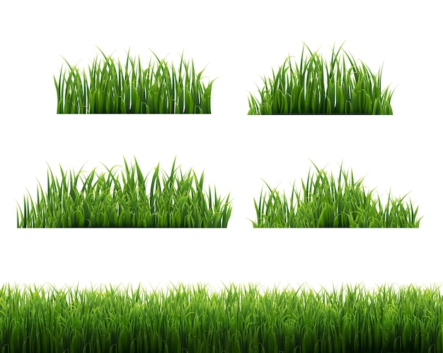 緑の芝生フレーム白背景 ベクトルイラスト プレミアムベクター