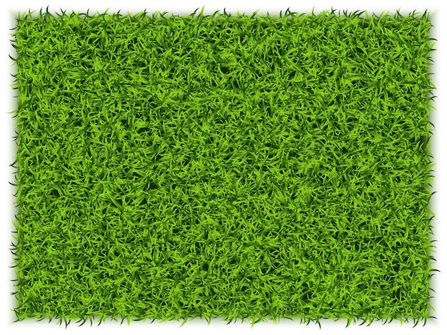 Premium Vector | Green grass rectangle background. eco home concept. 3d ...