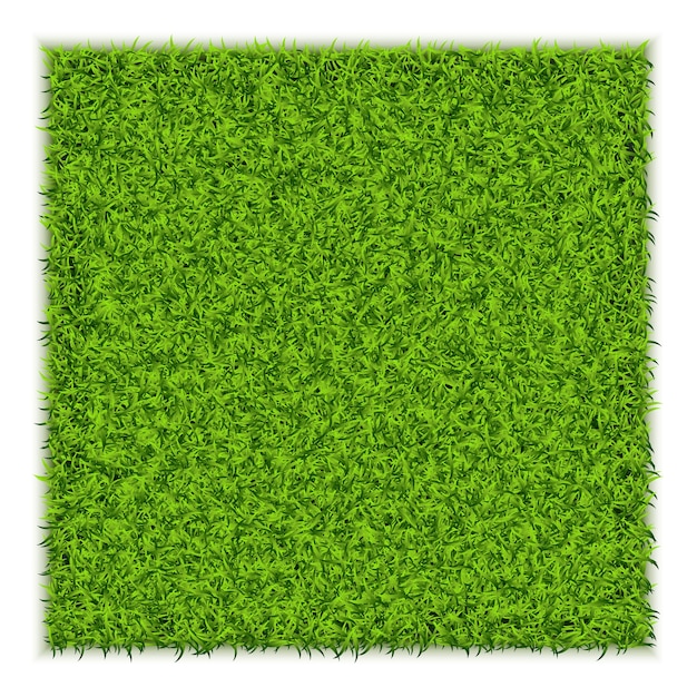緑の芝生広場イラスト プレミアムベクター