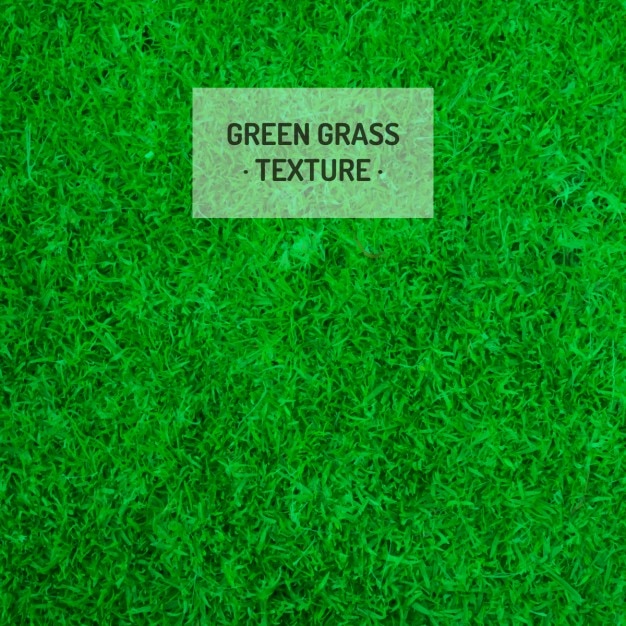 Free Vector Green Grass Texture 