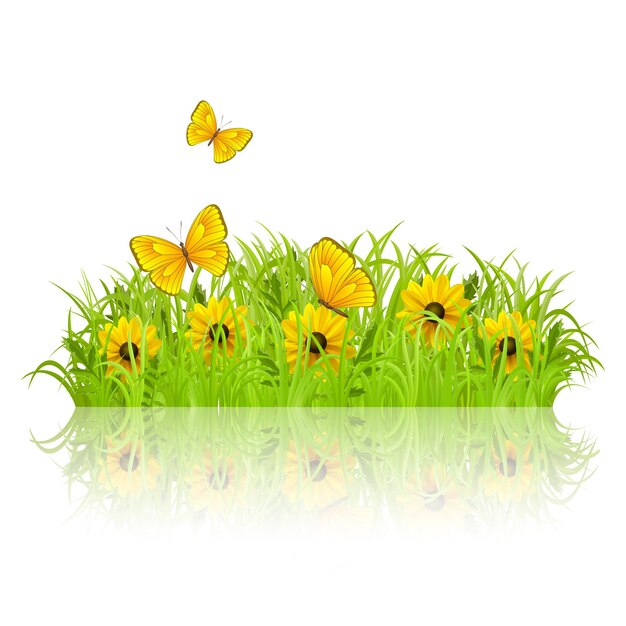 Premium Vector | Green grass with white flowers and butterflies