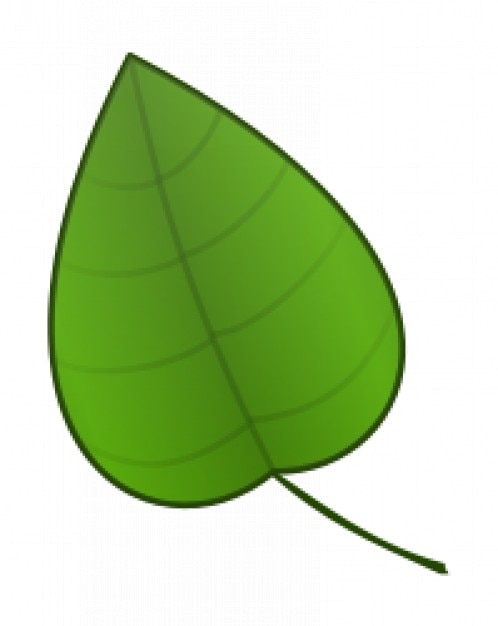 reverse search for: cartoon leaf