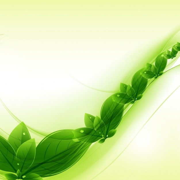 Free Vector | Green leaves background