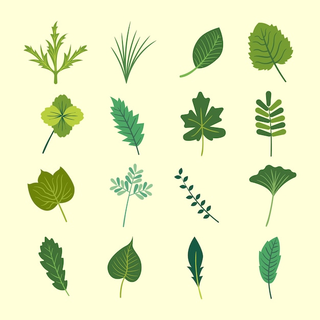Green leaves collection