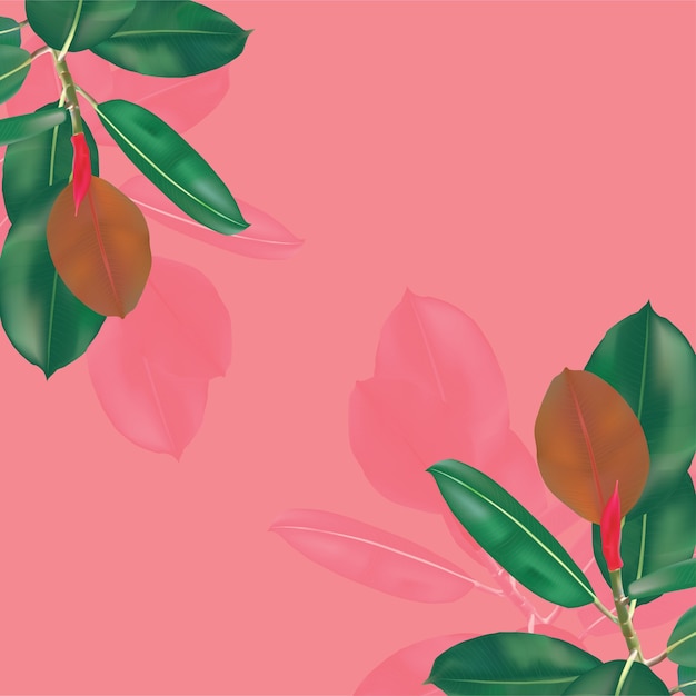 Premium Vector | Green leaves on pink background