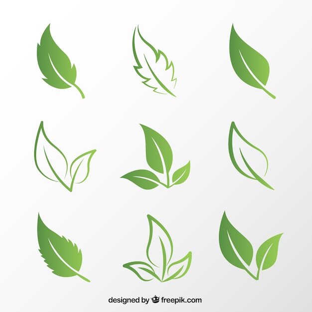 Download Free Vector | Green leaves