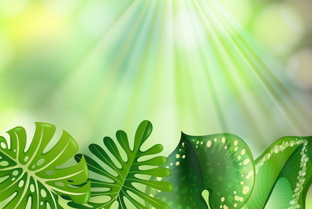 Green nature background | Free Vector