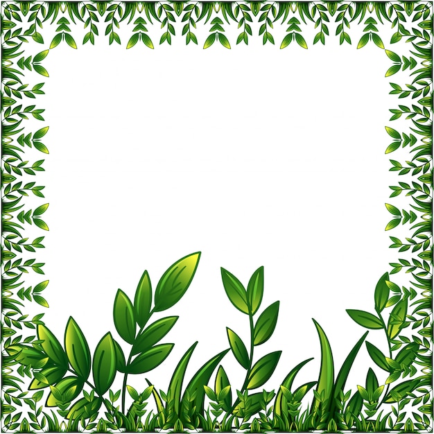 Green plants frame with decorative\
ornament