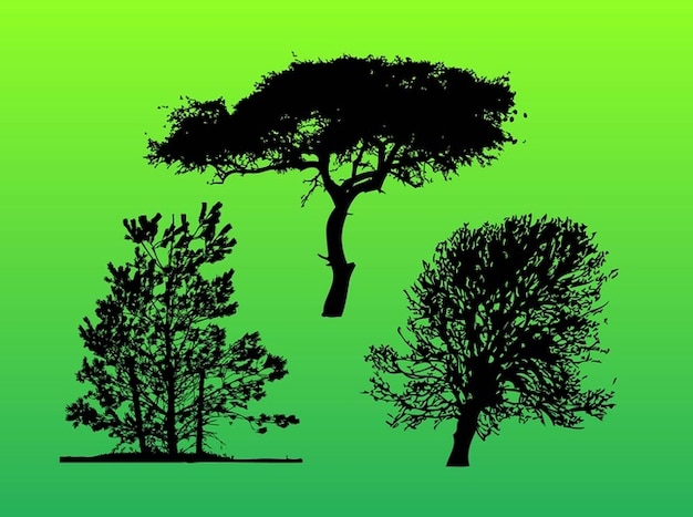 Green trees silhouettes of forest Vector | Free Download