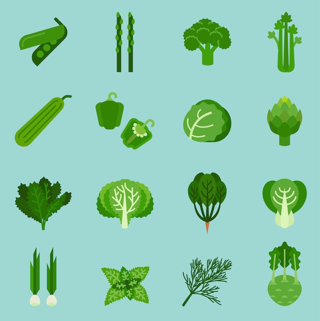 緑色の野菜のコレクション 情報グラフィック食品 ベクトルイラスト プレミアムベクター