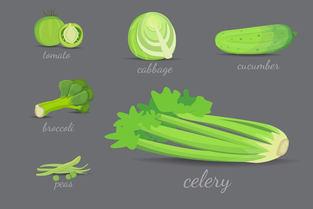 緑の野菜のデザイン 健康的な自然の新鮮な植物の漫画イラスト プレミアムベクター