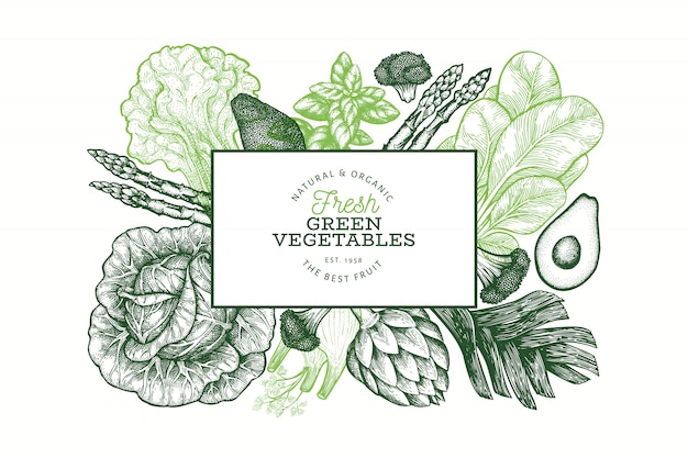 緑の野菜のデザインテンプレート 手描きベクトル食品イラスト 刻まれたスタイルの野菜バナー レトロな植物のバナー プレミアムベクター