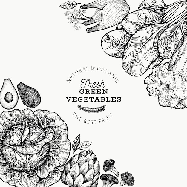 緑の野菜テンプレート 手描きの食べ物イラスト 刻まれたスタイルの野菜フレーム レトロな植物バナー プレミアムベクター