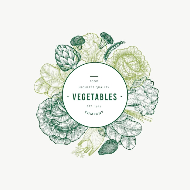 緑の野菜テンプレート 手描きの食べ物イラスト プレミアムベクター