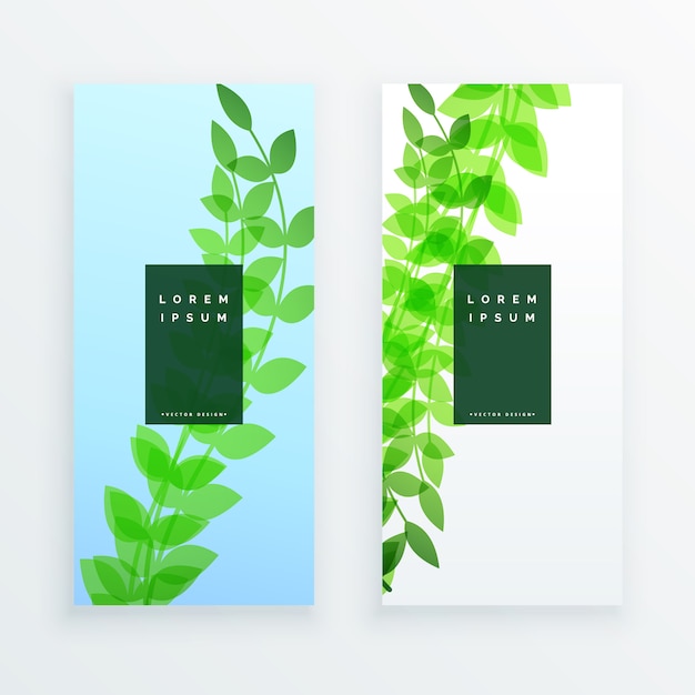 Green vertical leaves banner design