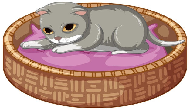 Free Vector | Grey kitten laying on his bed on white background