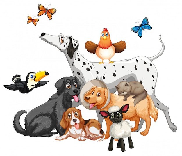 Free Vector | Group Of Cute Animals Cartoon Character Isolated